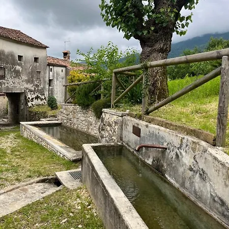 Altravista Tarzo *